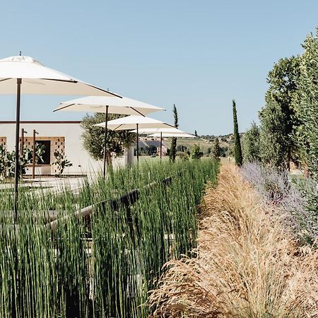 Villa Corallo Sant'Omero ภายนอก รูปภาพ