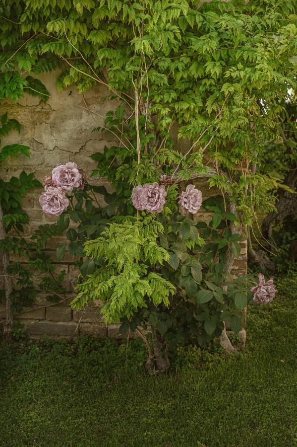 Villa Corallo Sant'Omero ภายนอก รูปภาพ