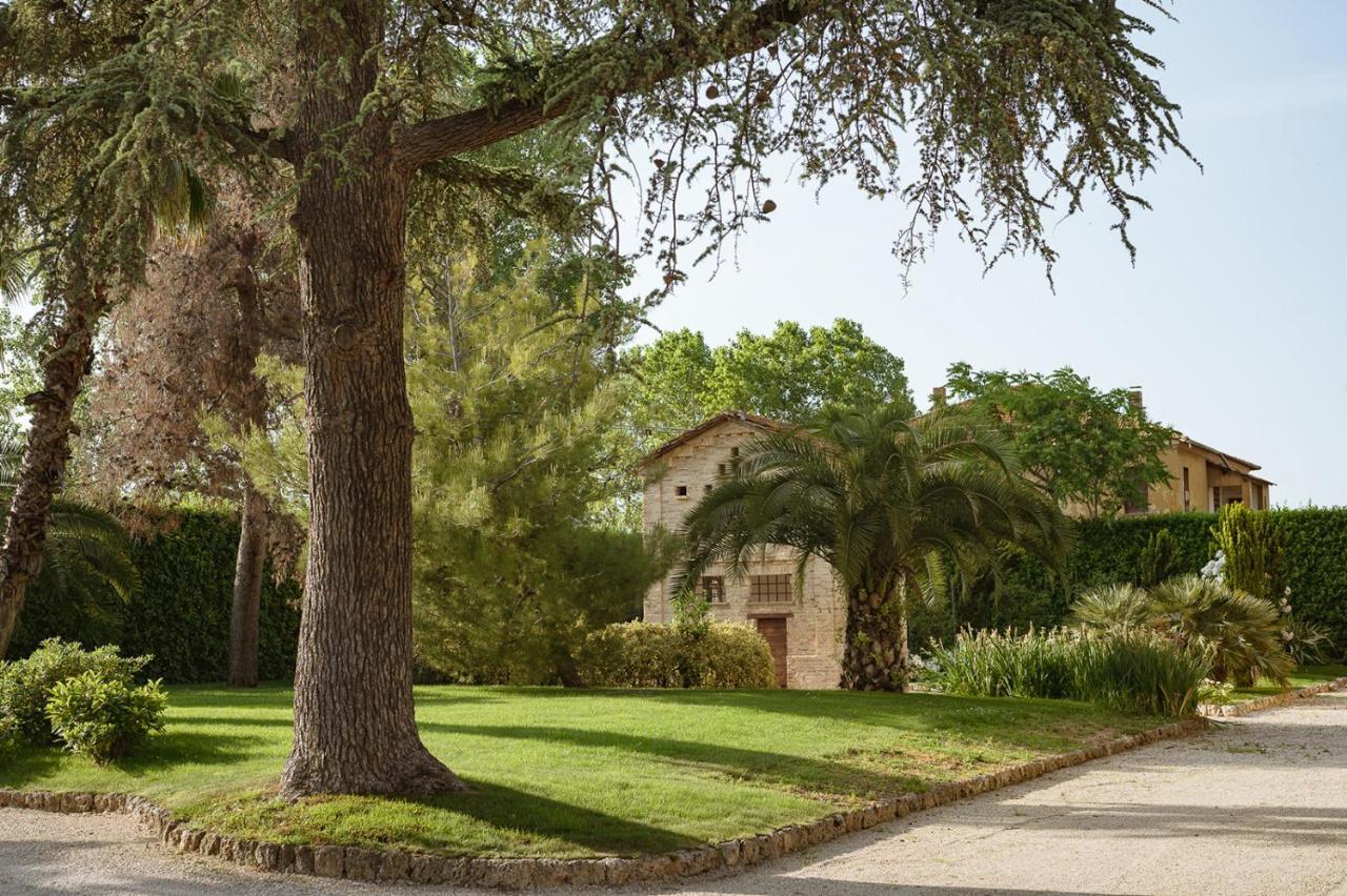 Villa Corallo Sant'Omero ภายนอก รูปภาพ