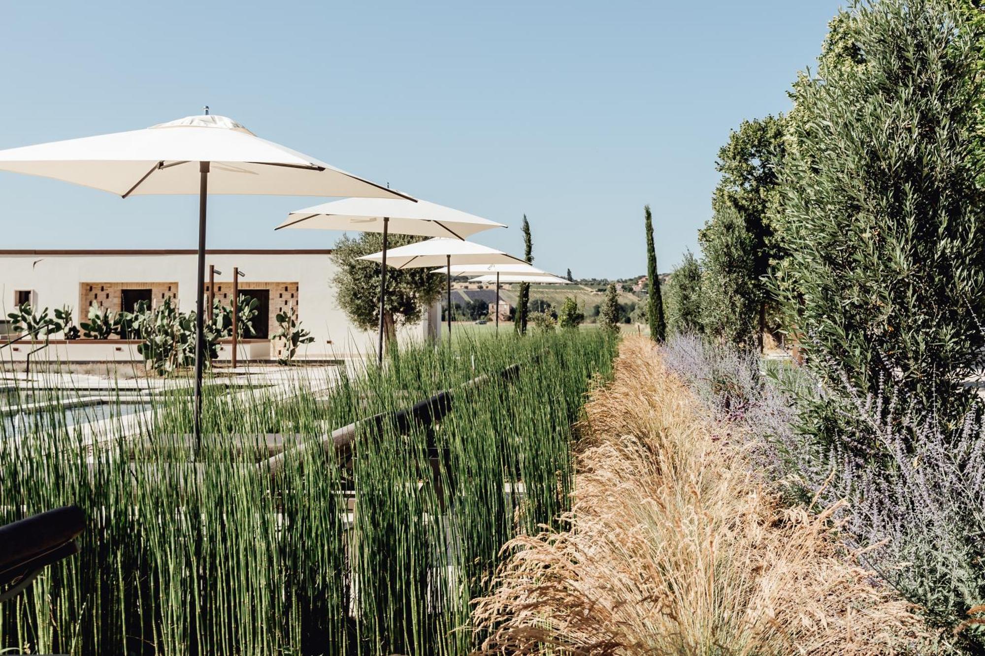 Villa Corallo Sant'Omero ภายนอก รูปภาพ